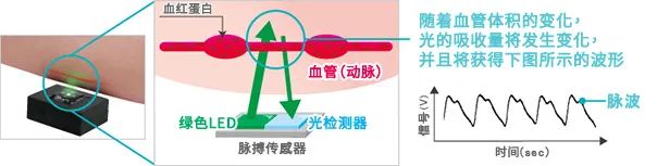 奥迪威官网资料20211203-0105.jpg