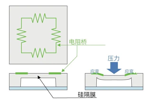 奥迪威官网资料20211203-0108.jpg